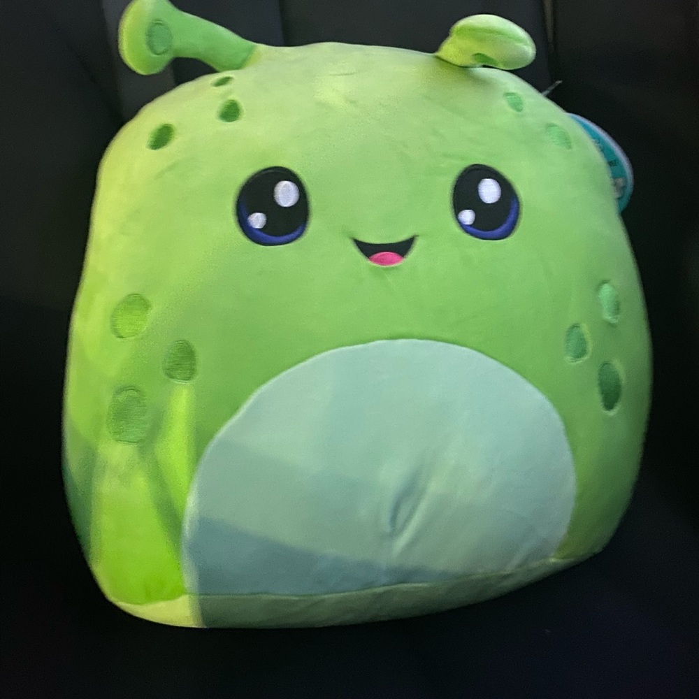 Finn squishmallow
